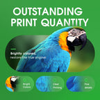 64XL Ink Cartridges Black/Color Combo Pack Compatible for HP 64 Ink Cartridge for HP Envy Photo 7855 7858 7155 7120 Printer (1 Black, 1 Color)