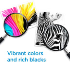 65 Ink Cartridges Compatible for HP 65 Ink Cartridge for HP Ink 65 Black Combo Printers(2 Black)
